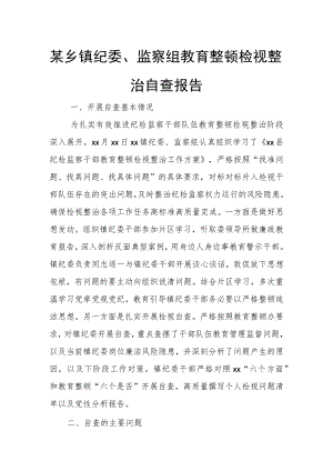 某乡镇纪委、监察组教育整顿检视整治自查报告.docx