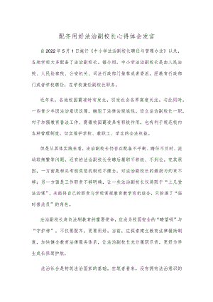 配齐用好法治副校长心得体会发言.docx
