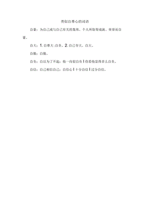 类似自尊心的词语.docx