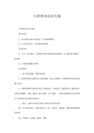 大班体育活动方案.docx