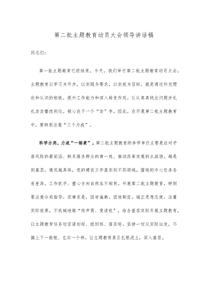 第二批主题教育动员大会领导讲话稿.docx