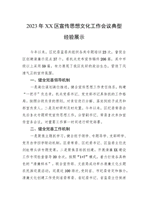 2023年XX区宣传思想文化工作会议典型经验展示.docx