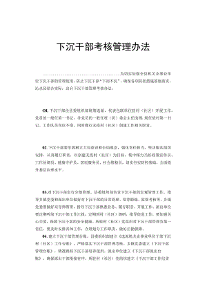 下沉干部考核管理办法.docx
