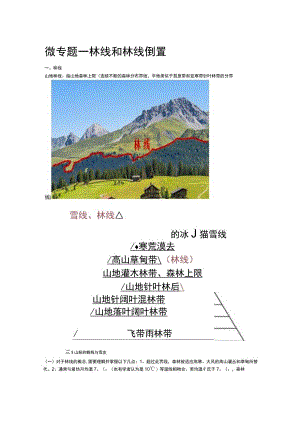 微专题——林线和林线倒置.docx