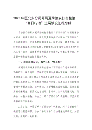 2023年夏季治安打击整治百日行动总结汇报六篇.docx