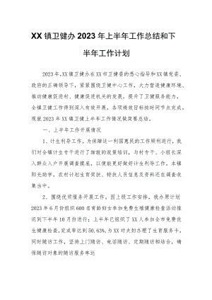 XX镇卫健办2023年上半年工作总结和下半年工作计划.docx