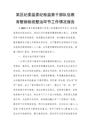 某区纪委监委纪检监察干部队伍教育整顿检视整治环节工作情况报告.docx