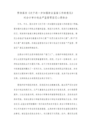 贯彻落实《关于进一步加强财会监督工作的意见》对会计审计违法严监管零容忍心得体会.docx