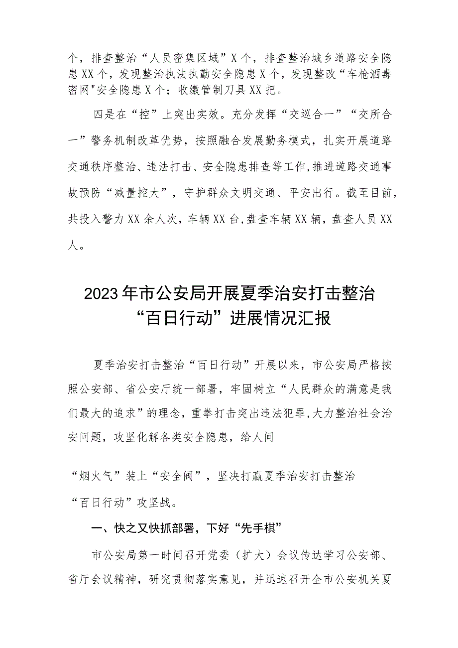 夏季治安打击整治百日行动情况汇报六篇.docx_第2页