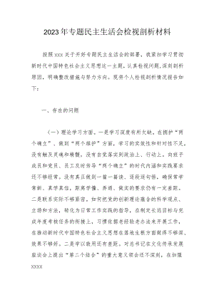 2023年专题民主生活会检视剖析材料.docx