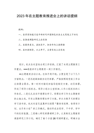 2023年在主题教育推进会上的讲话提纲.docx