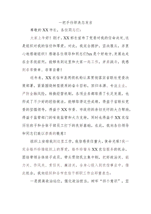 一把手任职表态发言.docx