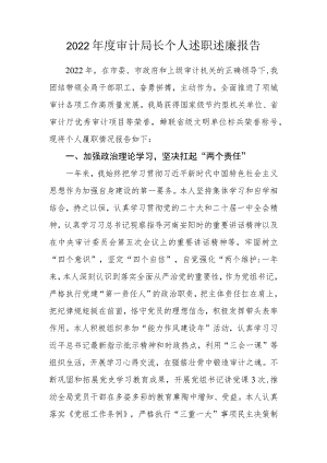 2022年度审计局长个人述职述廉报告.docx