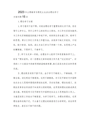 2023年主题教育专题民主生活会“理论学习”方面查摆存在问题15条.docx