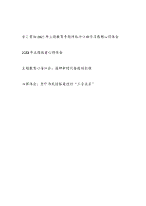 学习贯彻2023年主题教育专题网络培训班学习感想心得体会.docx
