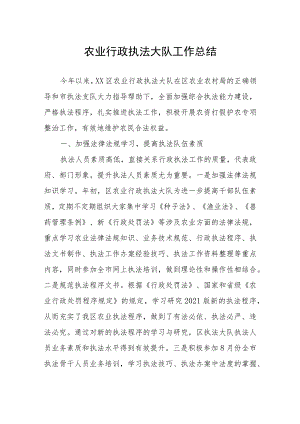 农业行政执法大队工作总结.docx