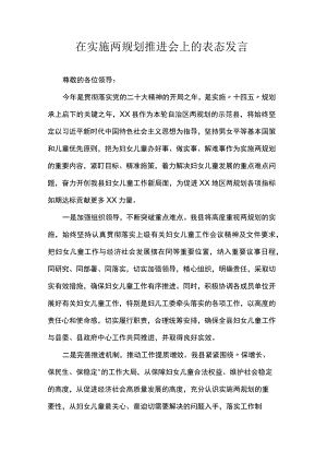 在实施两规划推进会上的表态发言.docx