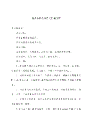 有关中班教案范文汇编五篇.docx