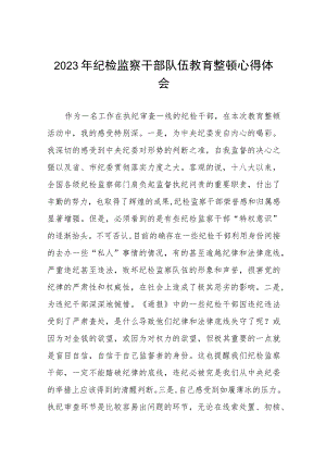 2023年全国纪检监察干部队伍教育整顿的心得体会7篇.docx