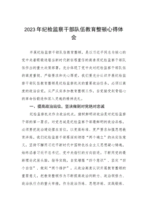 2023年纪检监察干部队伍教育整顿活动的心得体会两篇.docx