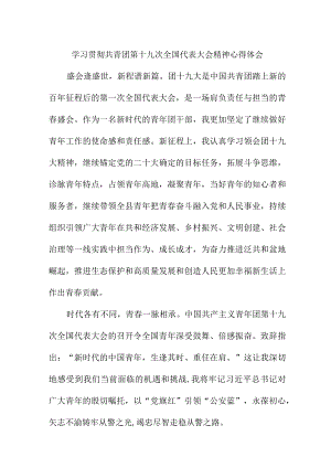 机关事业单位学习贯彻共青团第十九次全国代表大会精神个人心得体会 合计5份.docx