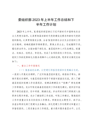 委组织部2023年上半年工作总结和下半年工作计划.docx