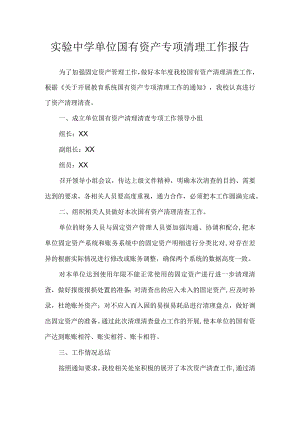 实验中学单位国有资产专项清理工作报告.docx