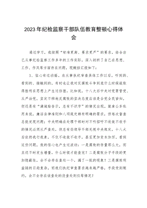 2023纪检监察干部队伍教育整顿心得体会感悟两篇.docx