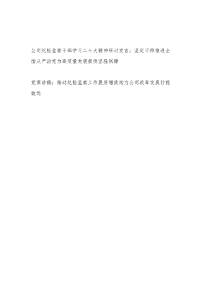 公司纪检监察干部学习二十大精神研讨发言和推动纪检监察工作提质增效助力公司改革发展行稳致远党课讲稿.docx