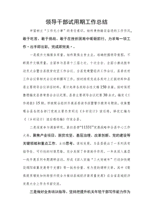 领导干部试用期工作总结.docx