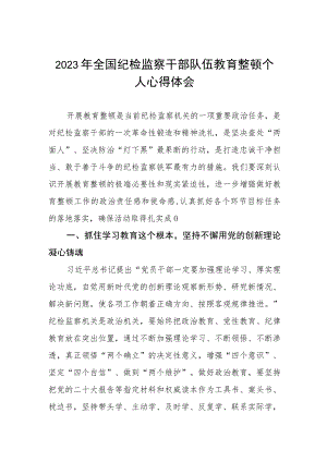 2023年全国纪检监察干部队伍教育整顿活动的心得体会两篇.docx