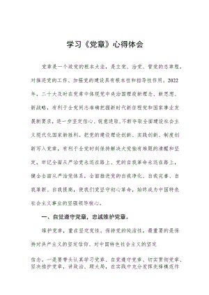 2023年党员学习新党章的心得体会.docx