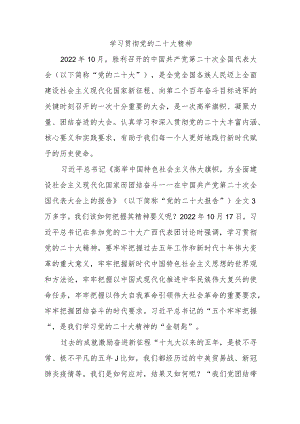 学习贯彻党的二十大精神.docx