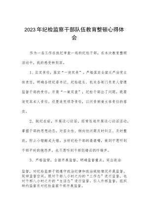 “2023年纪检监察干部队伍教育整顿”的心得体会7篇.docx