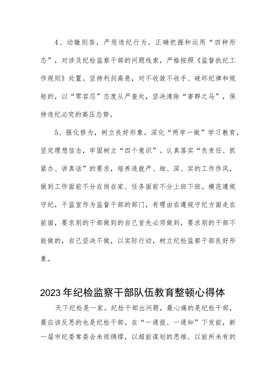 “2023年纪检监察干部队伍教育整顿”的心得体会7篇.docx_第2页