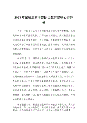 2023年纪检监察干部队伍教育整顿心得体会交流分享7篇.docx