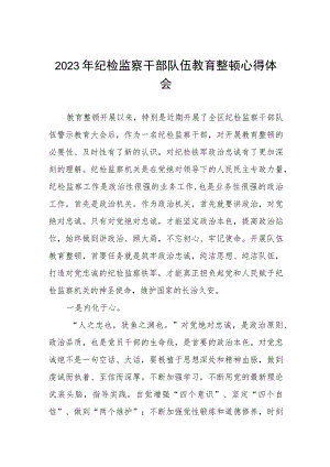 2023纪检监察干部队伍教育整顿学习个人心得体会模板两篇.docx