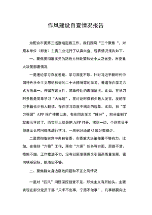 作风建设自查情况报告.docx