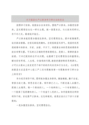 【精品文档】关于副县长严以修身学习研讨会的讲话（整理版）.docx