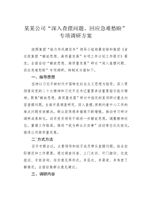 某某公司“深入查摆问题、回应急难愁盼”专项调研方案.docx