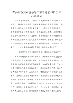 在参加政法系统领导干部专题读书班学习心得体会.docx