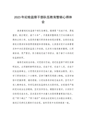 关于2023纪检监察干部队伍教育整顿的心得体会两篇.docx