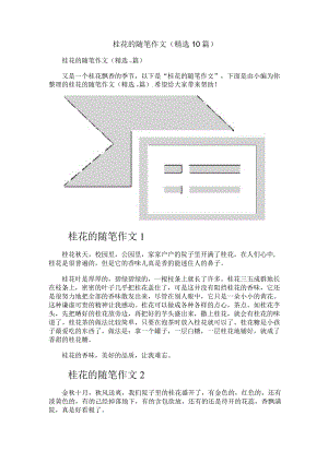 桂花的随笔作文（精选10篇）.docx
