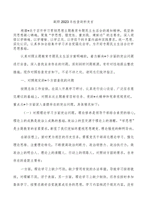 副职2023年检查剖析发言.docx