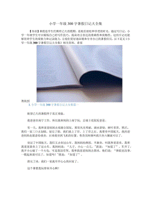 小学一年级300字暑假日记大全集.docx