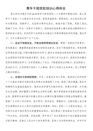 青年干部党校培训心得体会.docx
