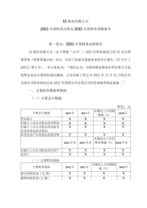 XX股份有限公司20X2年度财务决算及20X3年度财务预算报告.docx