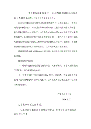 关于陈倪路北侧地块外墙面砖处理意见范文.docx
