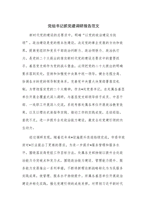 党组书记抓党建调研报告范文.docx