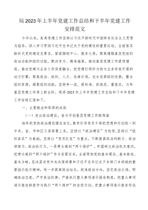 2023年上半年党建工作总结和下半年计划汇报报告.docx